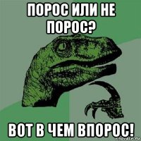 порос или не порос? вот в чем впорос!