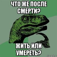 что же после смерти? жить или умереть?