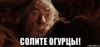  солите огурцы!