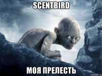 scentbird моя прелесть