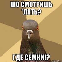 шо смотришь *лять? где семки!?