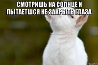 смотришь на солнце и пытаетшся не закрыть глаза 