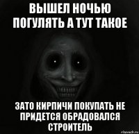 вышел ночью погулять а тут такое зато кирпичи покупать не придется обрадовался строитель