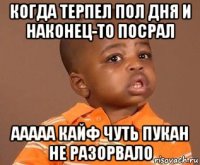 когда терпел пол дня и наконец-то посрал ааааа кайф чуть пукан не разорвало