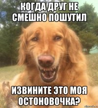 когда друг не смешно пошутил извините это моя остоновочка?