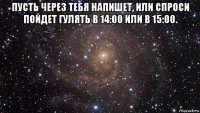 пусть через тебя напишет, или спроси пойдет гулять в 14:00 или в 15:00. 