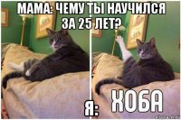 мама: чему ты научился за 25 лет? я: