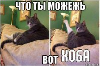 что ты можежь вот