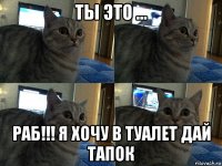 ты это ... раб!!! я хочу в туалет дай тапок