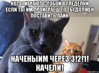 коты играют с тобой в гледелки если ты им проиграеш то ты должен поставить лайк наченыим через 3!2!1! начели!