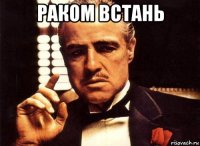 раком встань 