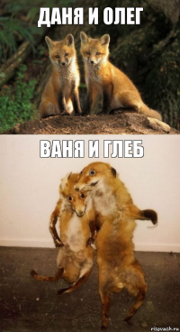 Даня и Олег Ваня и Глеб