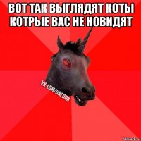 вот так выглядят коты котрые вас не новидят 