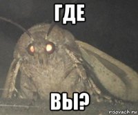 где вы?