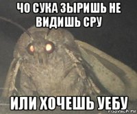 чо сука зыришь не видишь сру или хочешь уебу