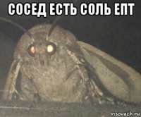 сосед есть соль епт 