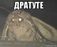 дратуте 