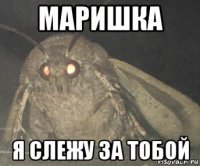 маришка я слежу за тобой