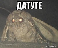 датуте 