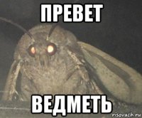 превет ведметь