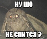 ну шо не спится ?