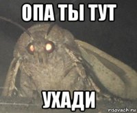 опа ты тут ухади