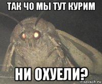 так чо мы тут курим ни охуели?