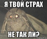 я твой страх не так ли?