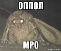 оппол мро