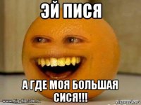 эй пися а где моя большая сися!!!