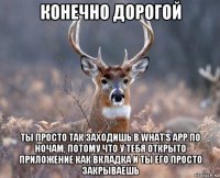 конечно дорогой ты просто так заходишь в what's app по ночам, потому что у тебя открыто приложение как вкладка и ты его просто закрываешь