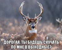  дорогая, ты будешь скучать по мне в выходные?