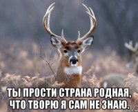  ты прости страна родная, что творю я сам не знаю.