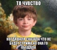 то чувство когда валя сказала что не будет стрима,но она го обещала