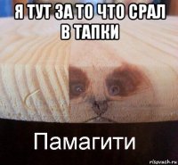 я тут за то что срал в тапки 