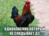  однокласник который не скидывает дз