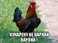  кукареку не каркай варона !