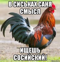 в сиськах саня смысл ищешь сосийский!