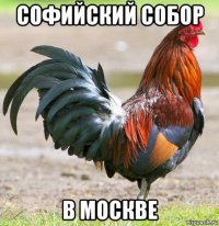 софийский собор в москве