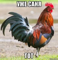 уже саня тот