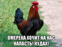  омерека хочит на нас напасть! кудах!