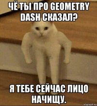 чё ты про geometry dash сказал? я тебе сейчас лицо начищу.