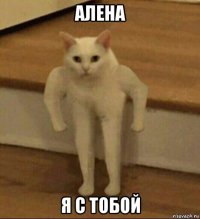 алена я с тобой