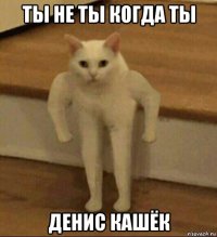 ты не ты когда ты денис кашёк