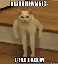 выпил кумыс- стал сасом