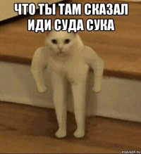 что ты там сказал иди суда сука 