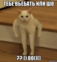 тебе вьебать или шо ?? () 00()()