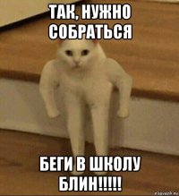 так, нужно собраться беги в школу блин!!!!!