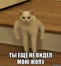  ты ещё не видел мою жопу