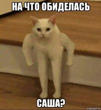 на что обиделась саша?